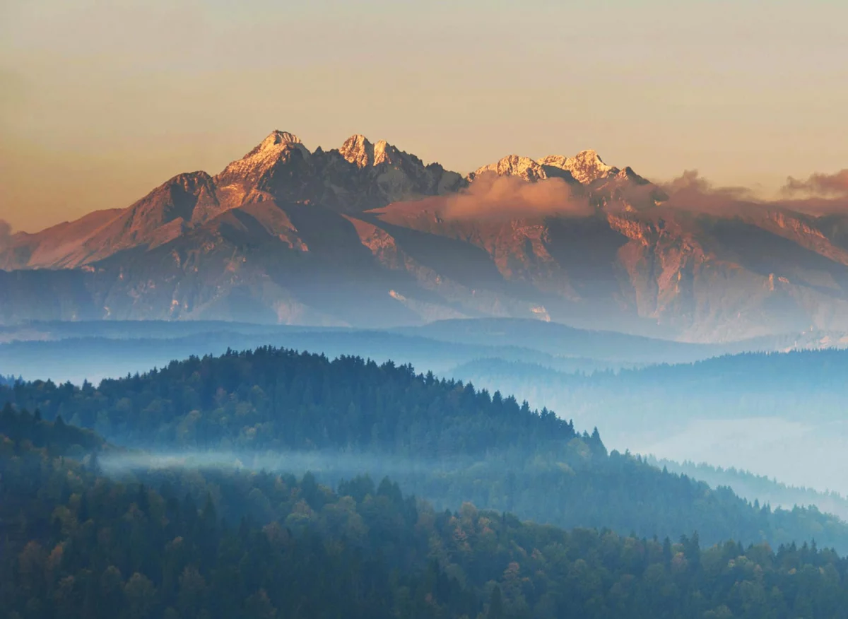 Chciałeś kiedyś wyposażyć dom ale nie wiesz jak sie za to zabrać?