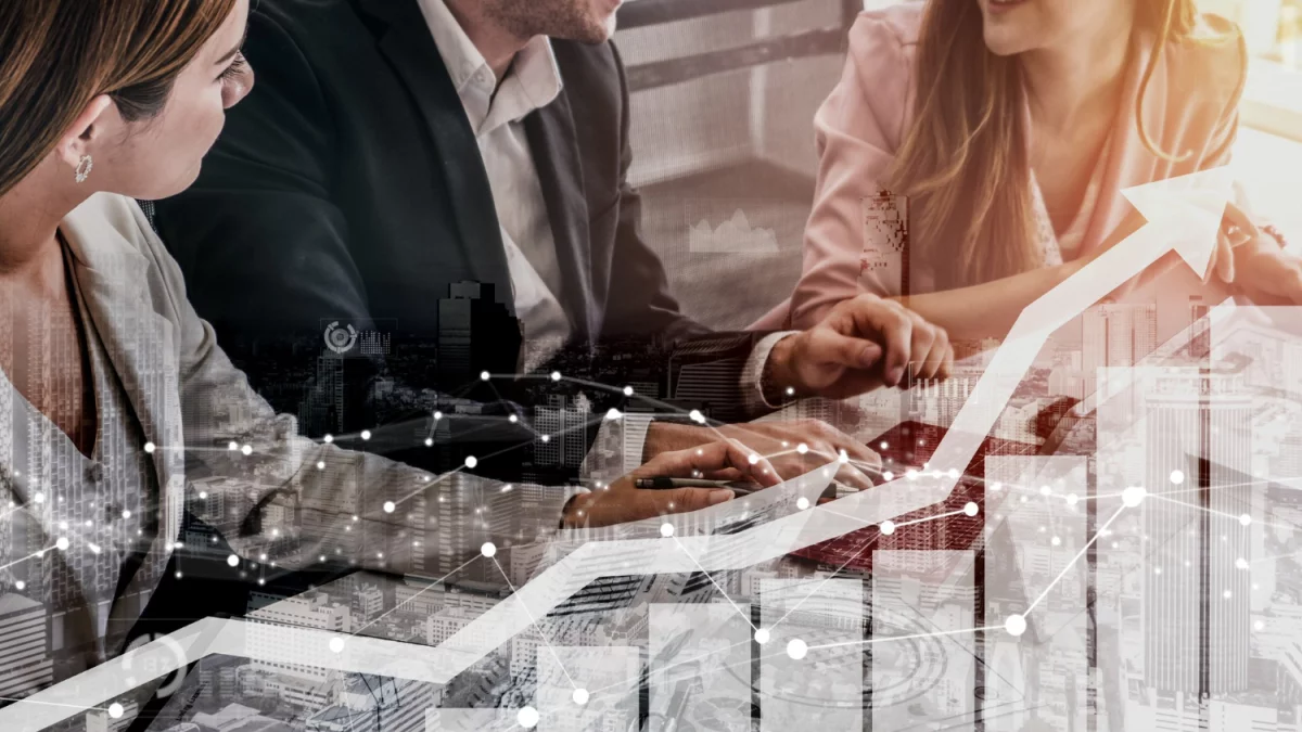 Metody jak dobrze zadbać o rośliny domowe