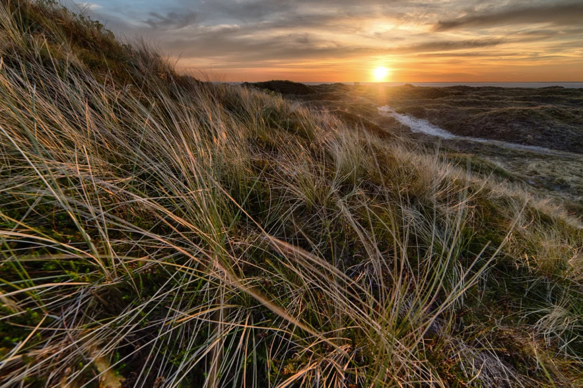 Czy w 2024 można  Portal medyczny?